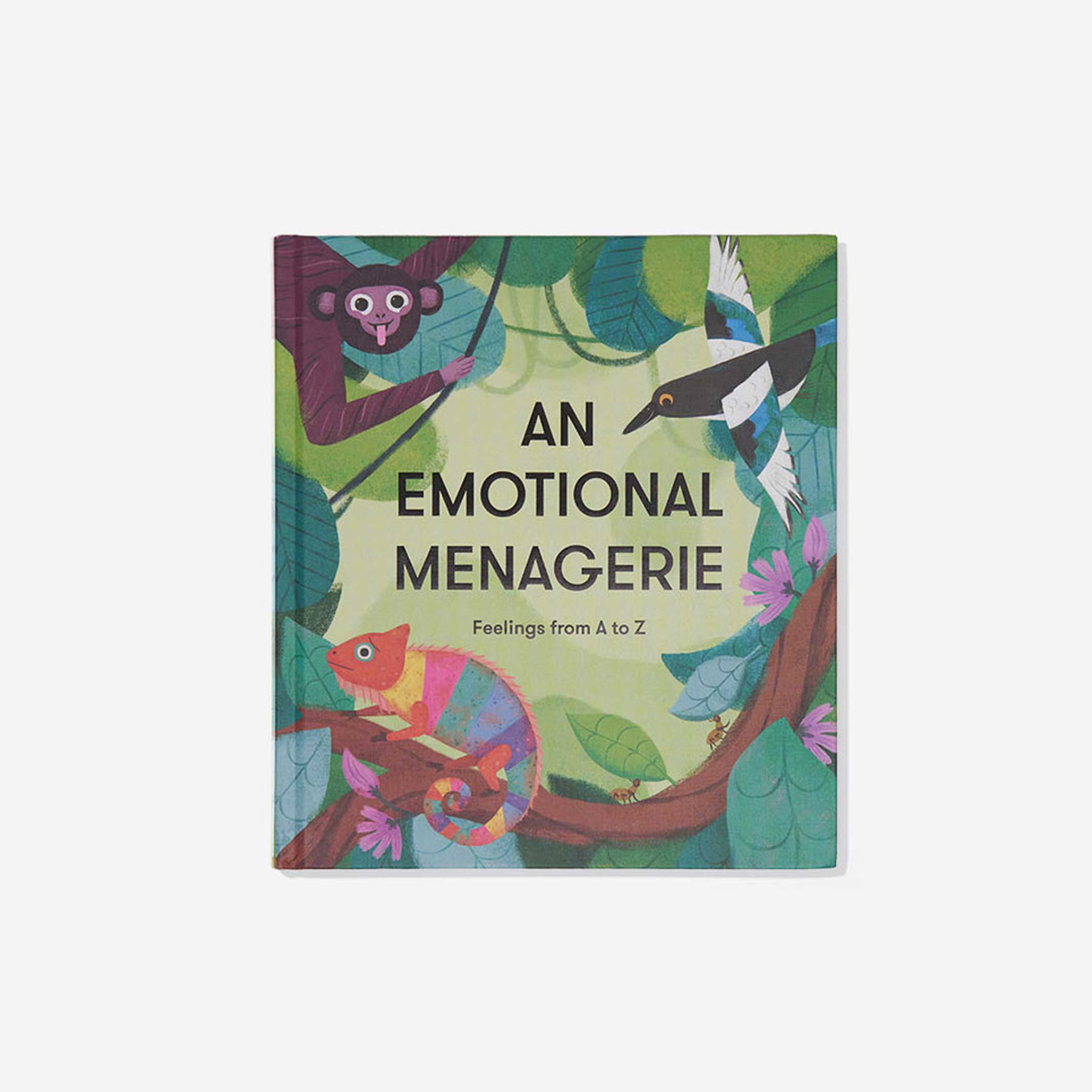 AN EMOTIONAL MENAGERIE | BOOK for CHILDREN | The School of Life