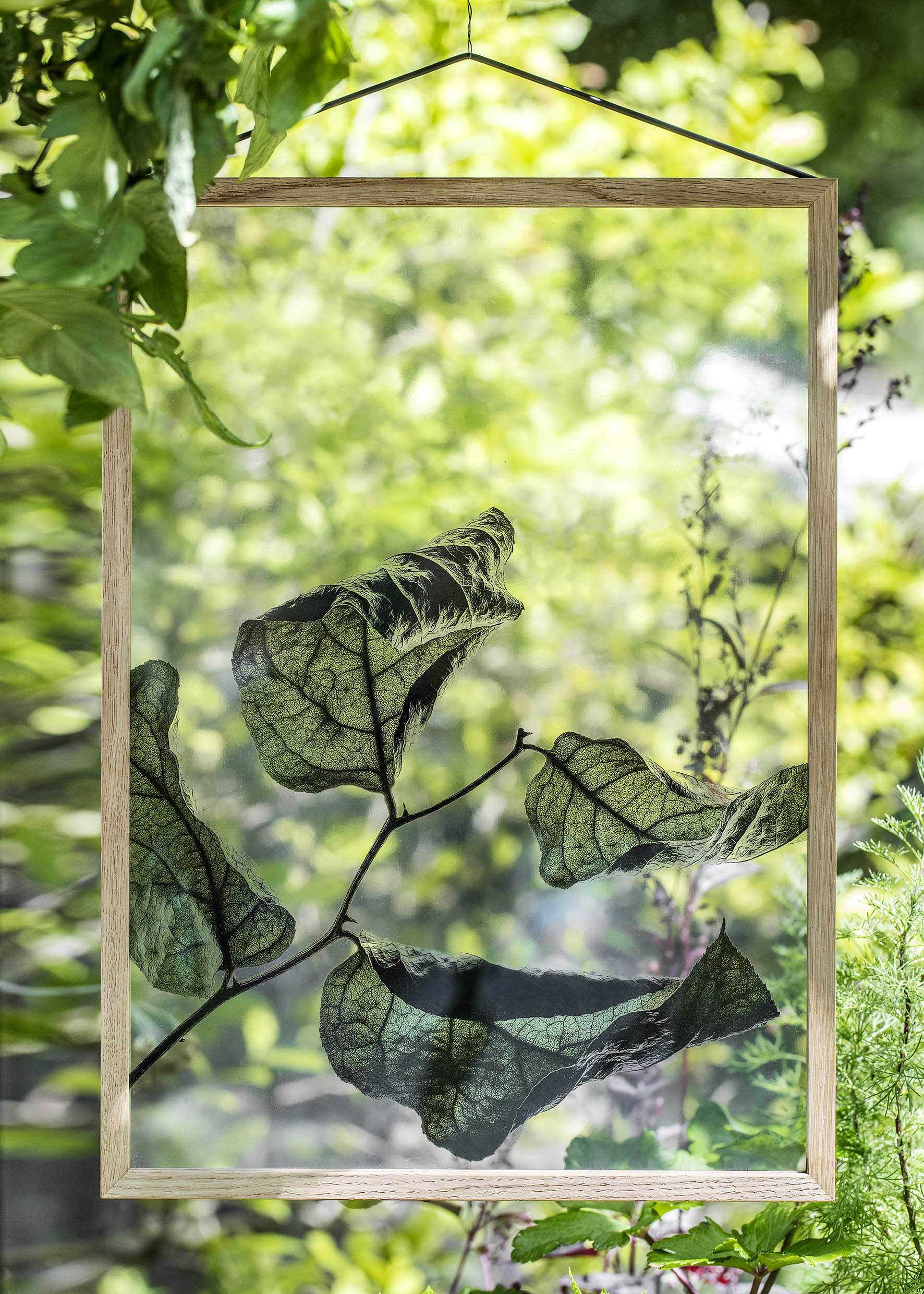 FLOATING LEAVES - transparent poster | Moebe