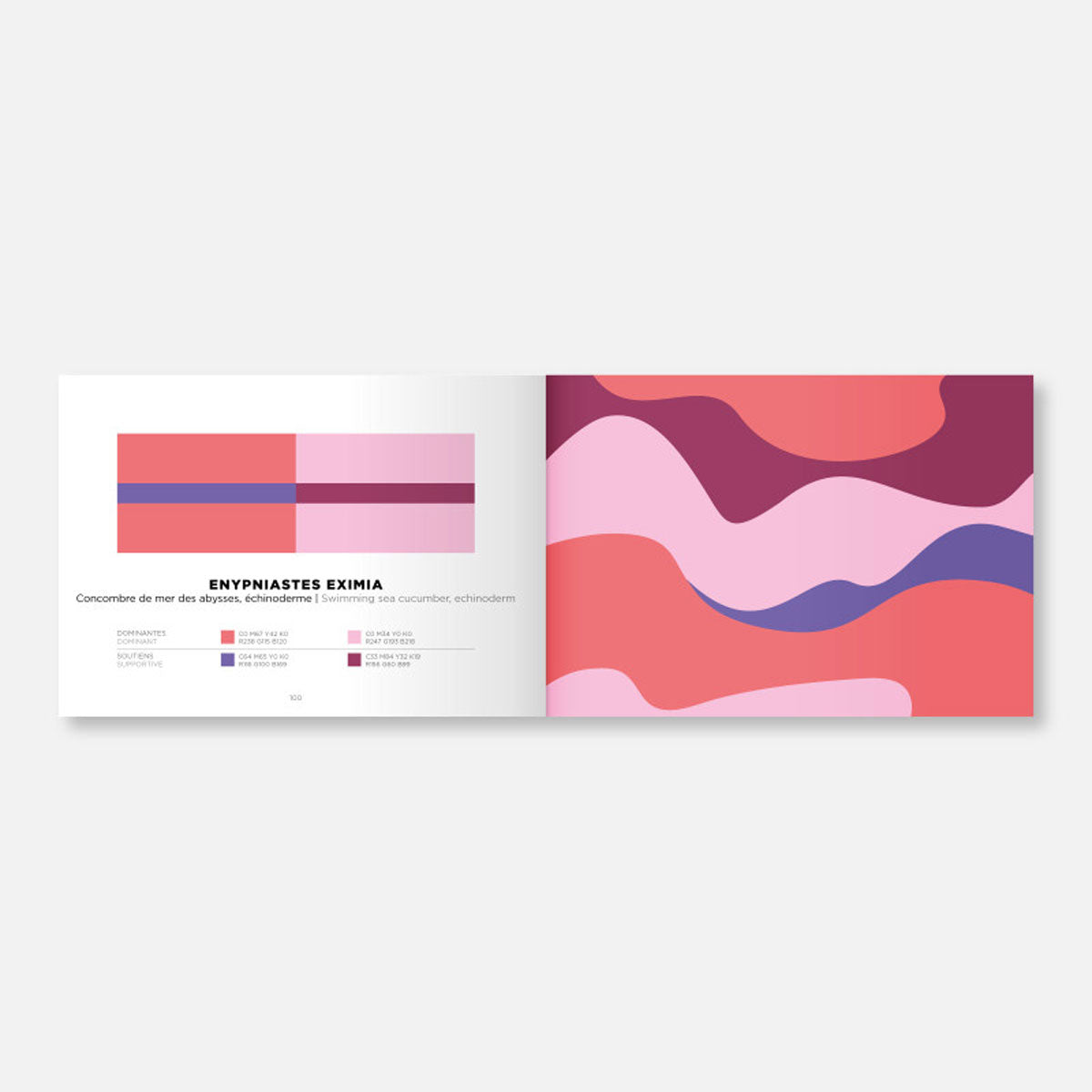 COLOR INSPIRATION | VOLUME 2 | BOOK on color combinations | Papier Tigre