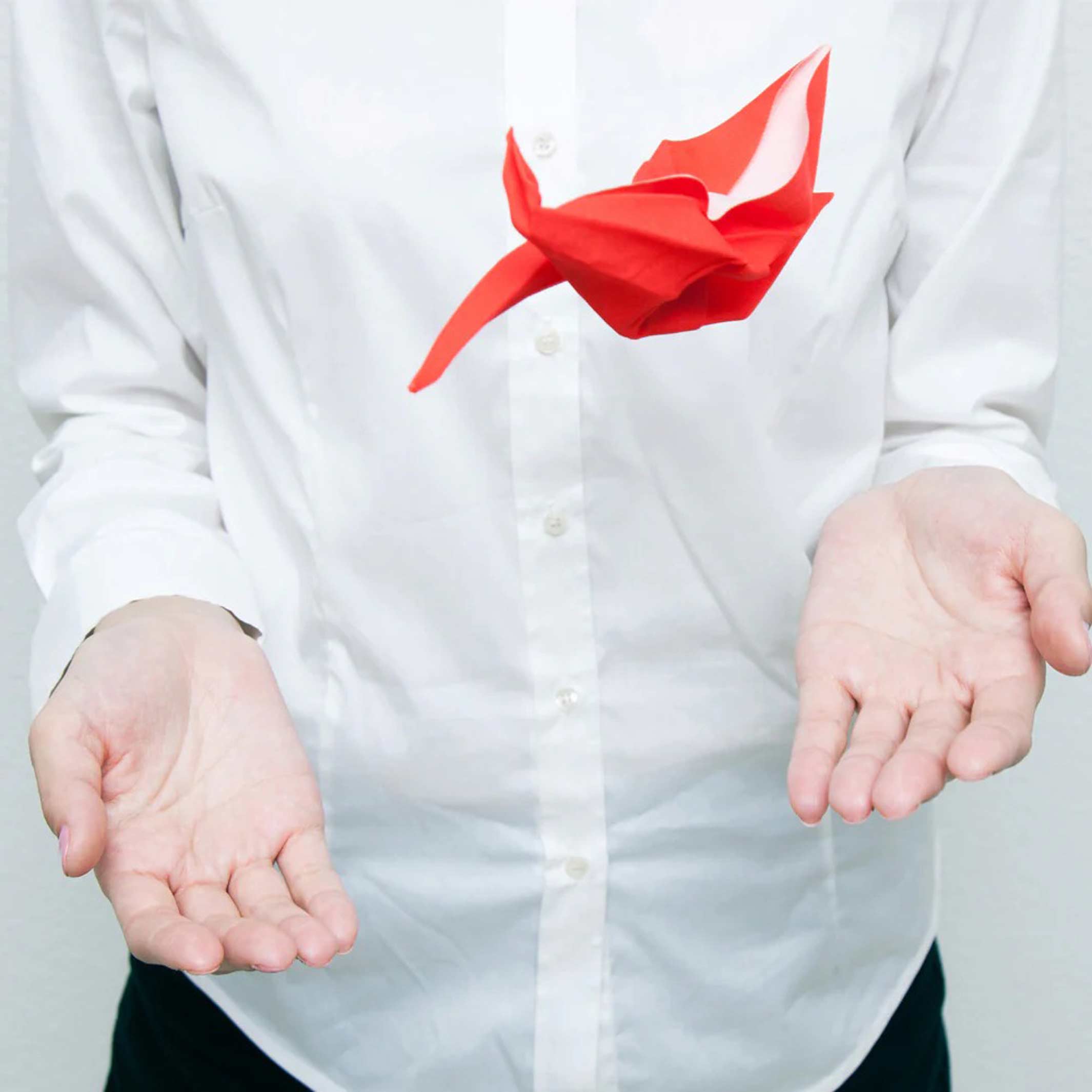 TSURU - Peti Peto Reinigungstuch - weisser Kranich | 100percent