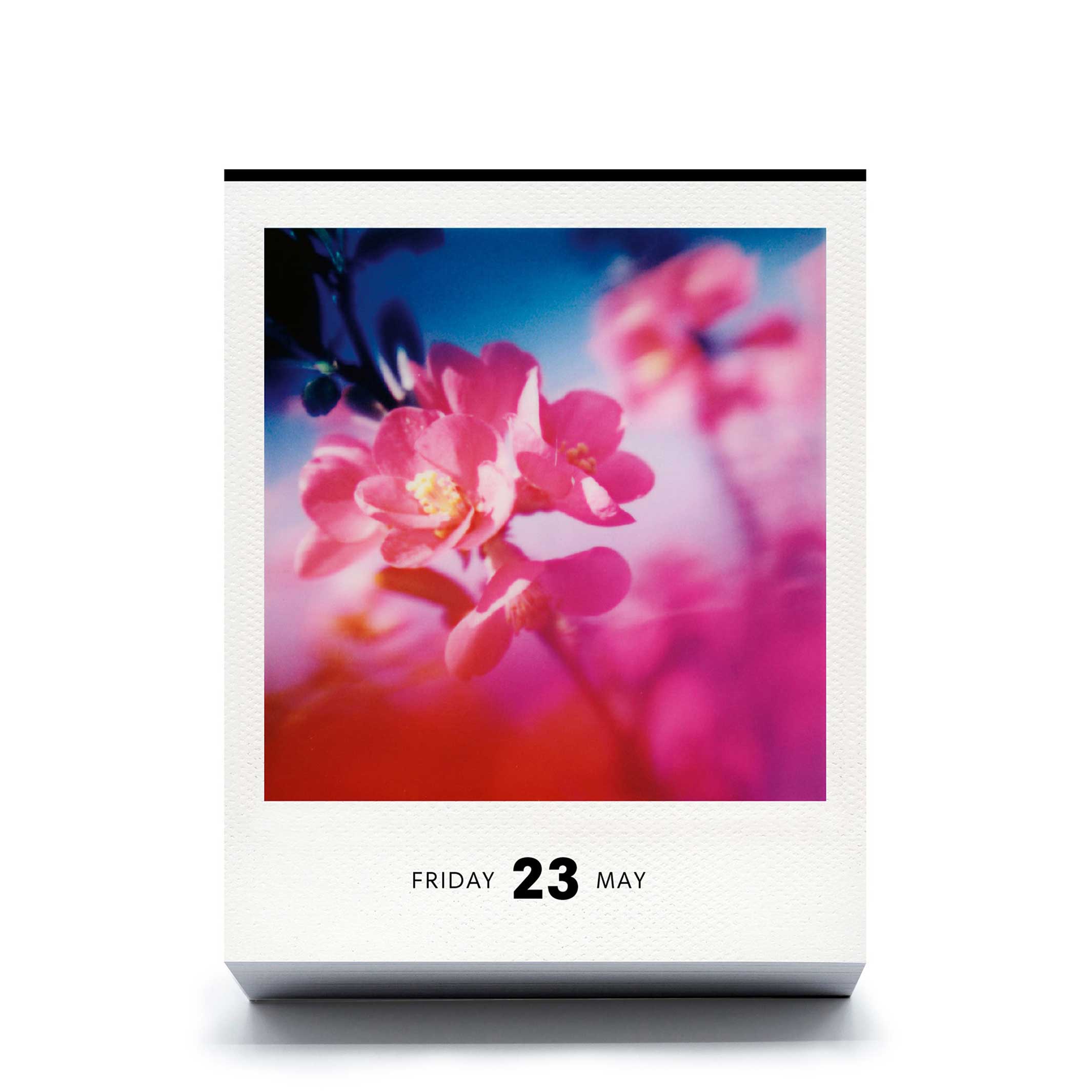 PHOTODARIUM 2025 - Polaroid Kalender - 9x11 cm | seltmann+söhne