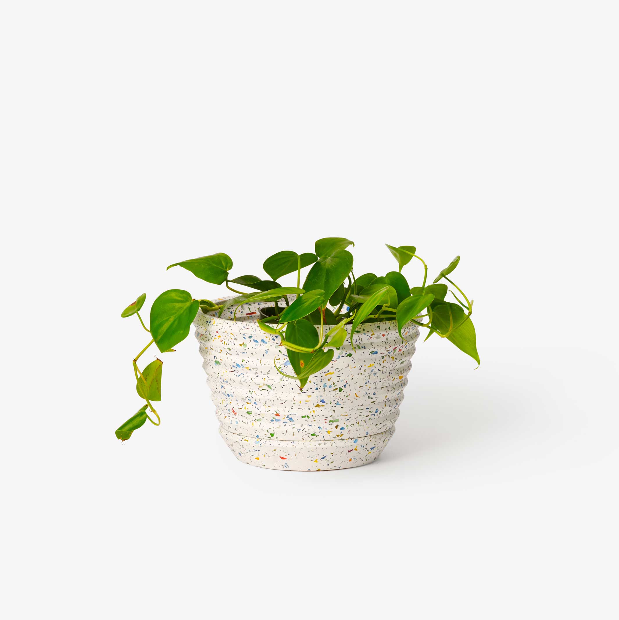 RACINE PLANTER CONFETTI - Blumentopf | Frank Lloyd Wright | Areaware