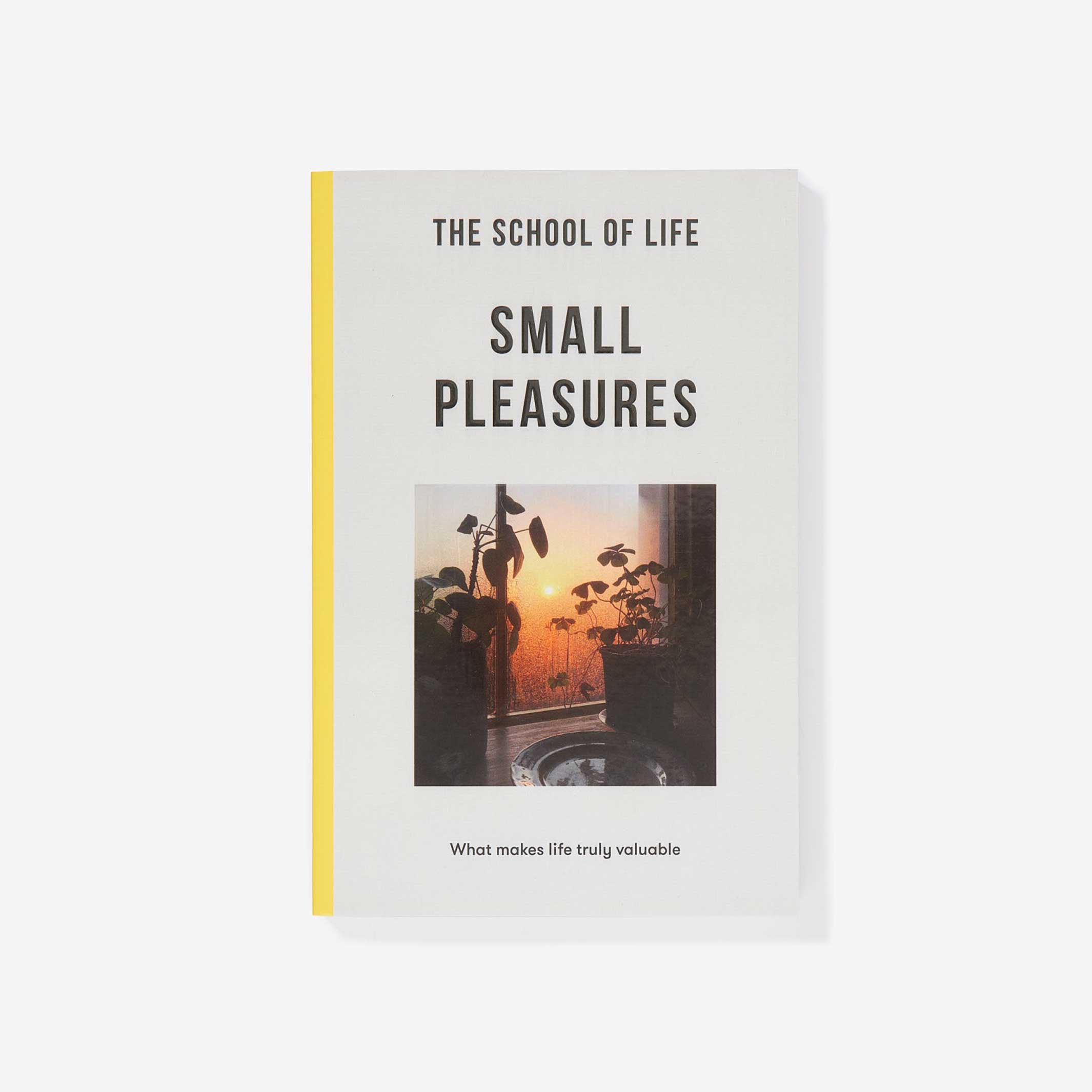 SMALL PLEASURES - Taschenbuch - English Edition | The School of Life