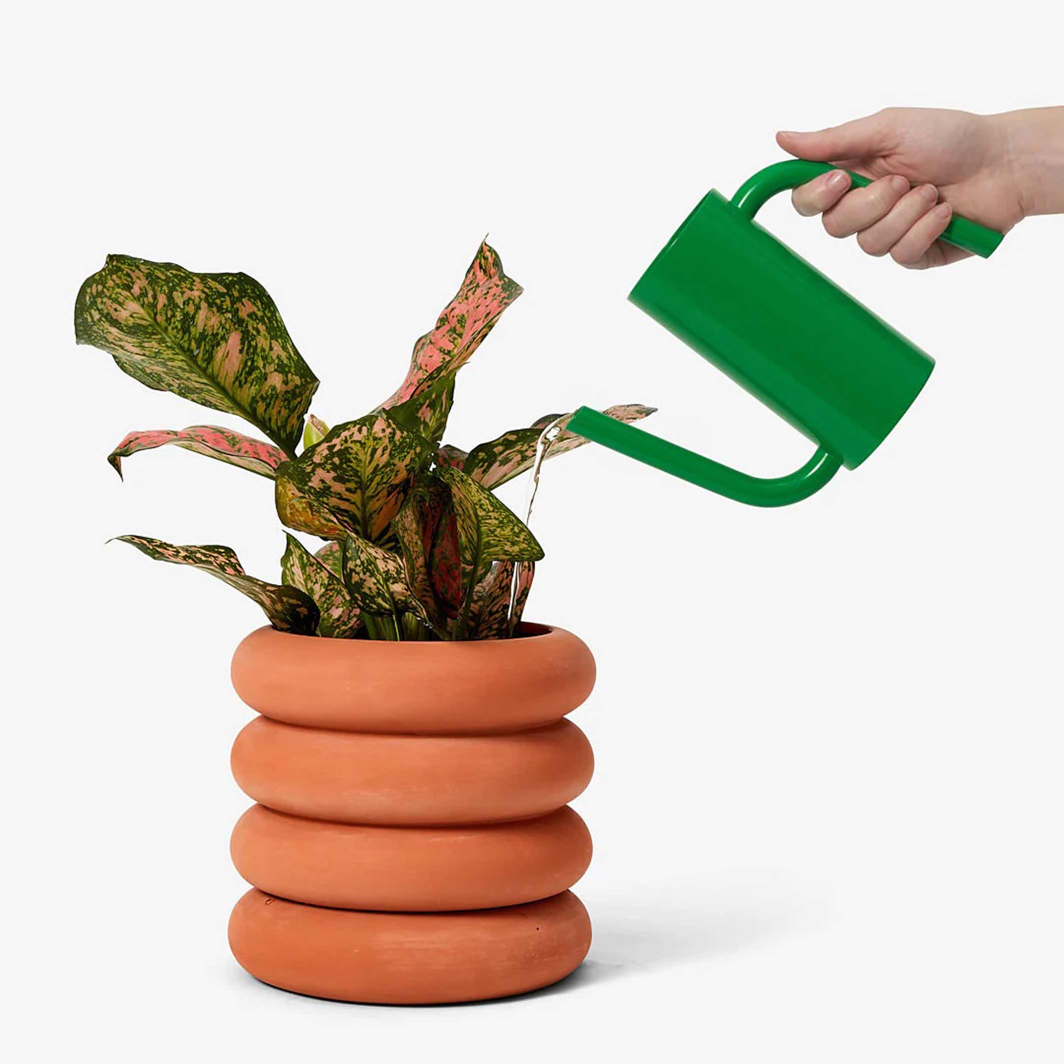 TANGO Watering Can Green | Small holds 18.6 oz | Henry Julier & Pete Oyler | Areaware