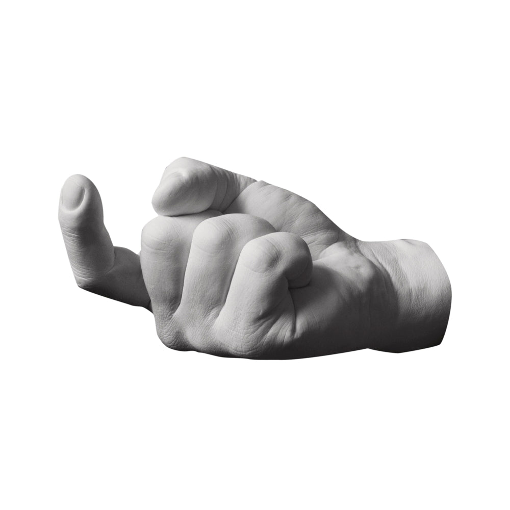 置物 Harry Allen Reality Hand Hook HAND HOOKS | WALL HOOK or SHELF | Harry Allen | Areaware