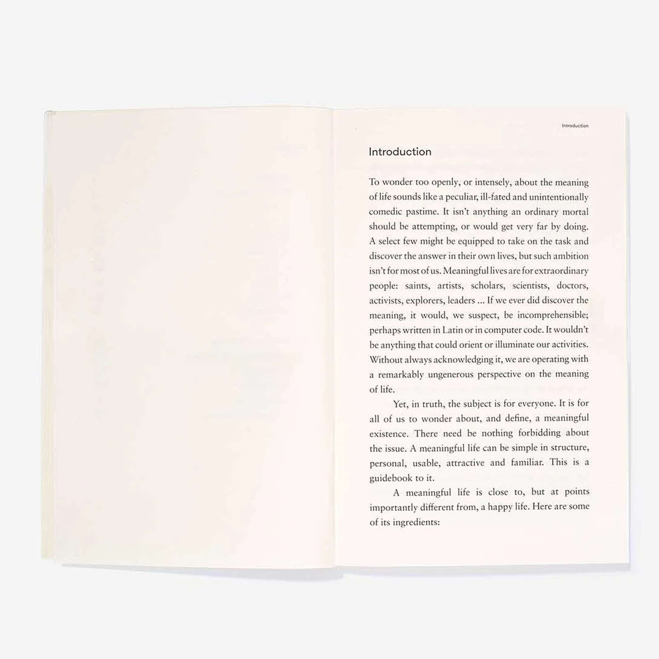 THE MEANING OF LIFE - Taschenbuch - English Edition | The School of Life