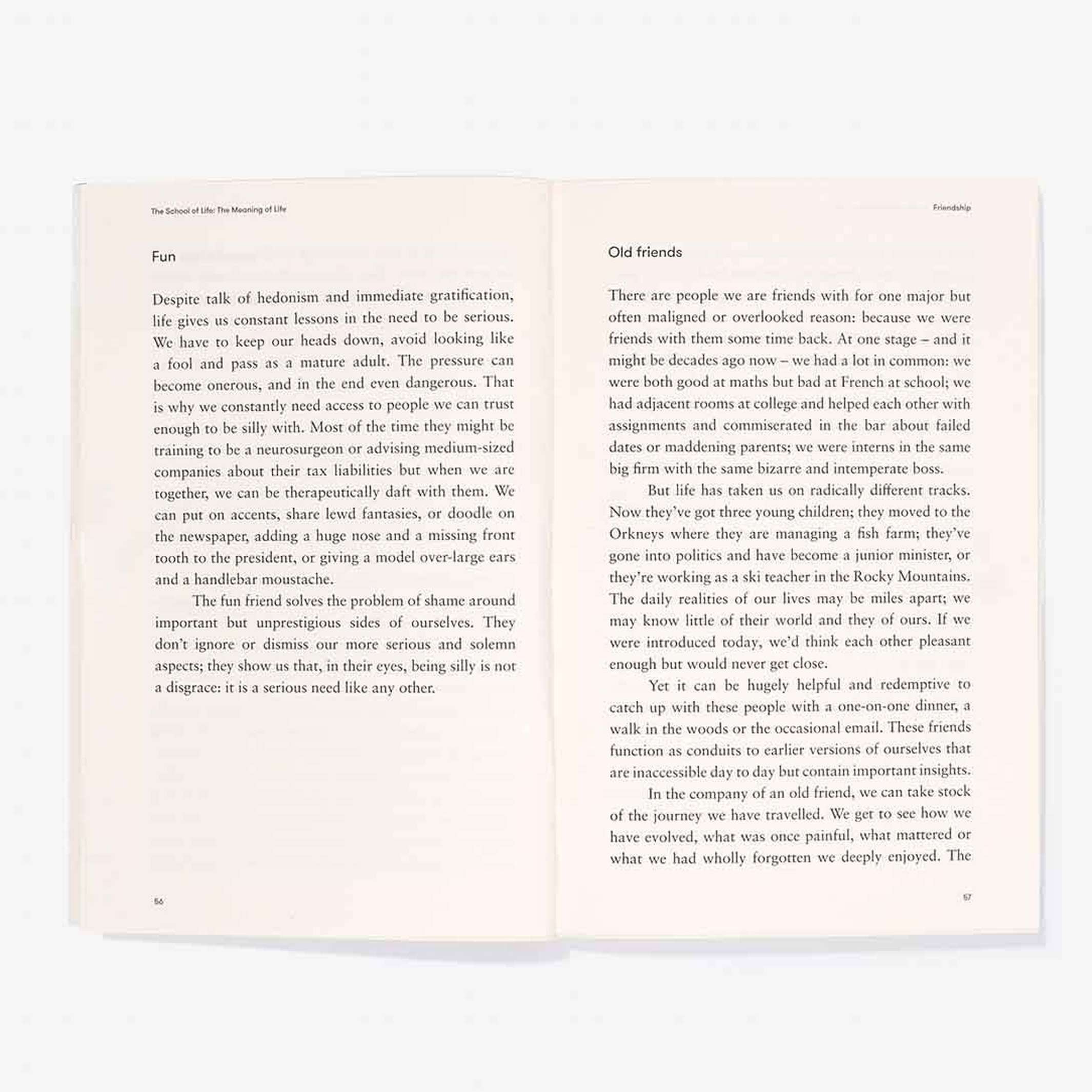 THE MEANING OF LIFE - Taschenbuch - English Edition | The School of Life