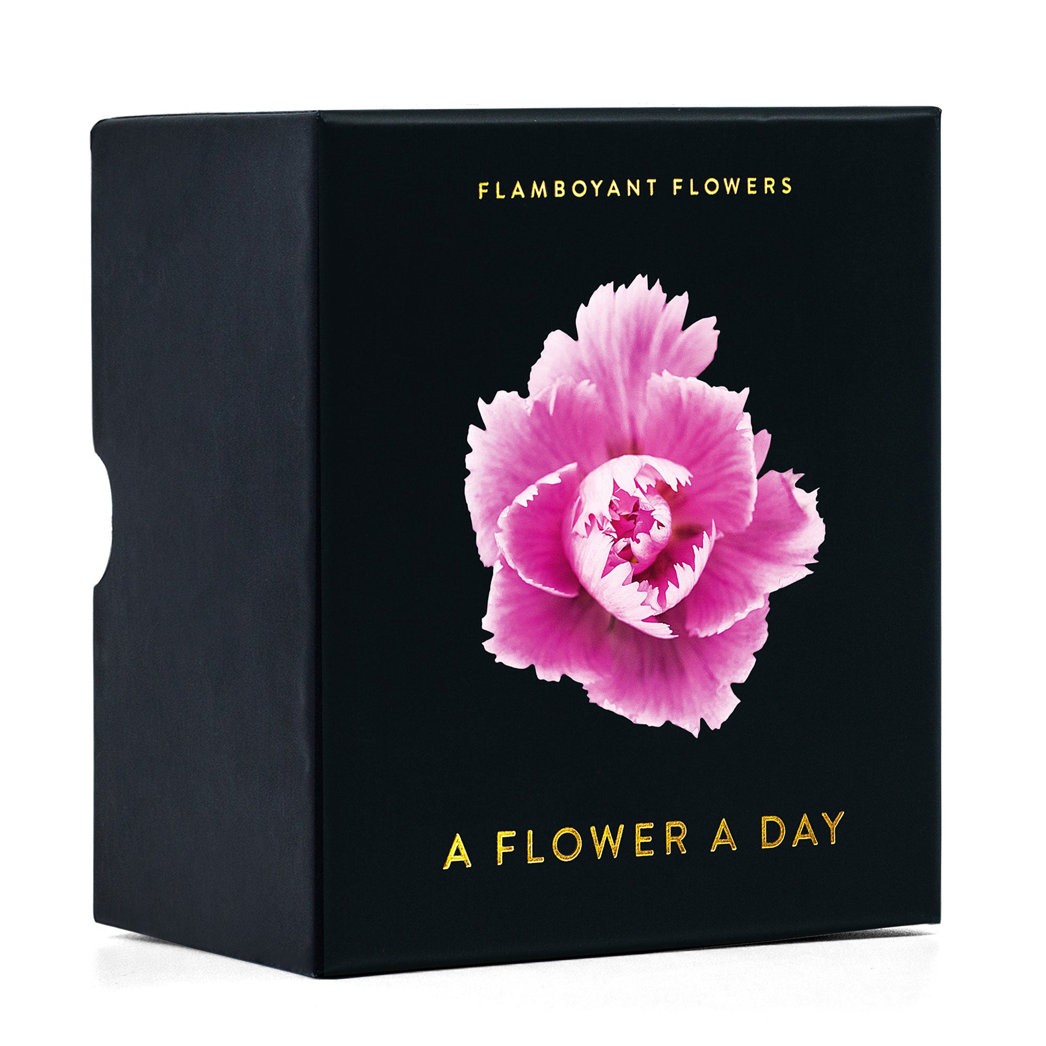 FLAMBOYANT FLOWERS | Une fleur par jour | CALENDRIER des fleurs | Nicolas Mériel | seltmann+söhne