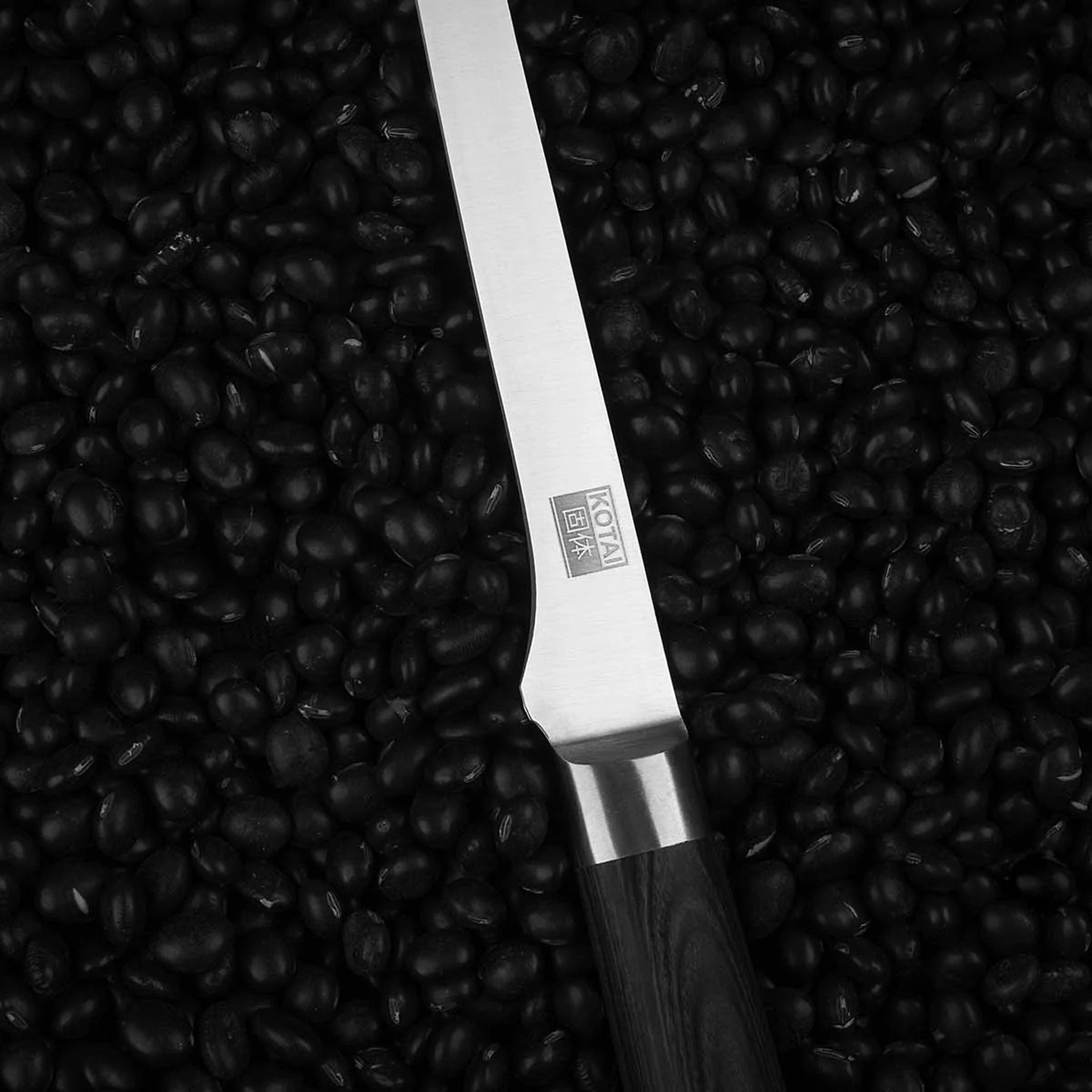 FILLET KNIFE for fish | wooden saya & bamboo gift box | 20cm blade | Kotai