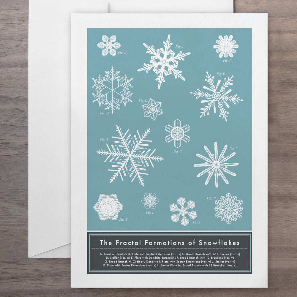 The FRACTAL FORMATIONS of SNOWFLAKES | GRUßKARTE | Pop Chart Lab - Charles & Marie