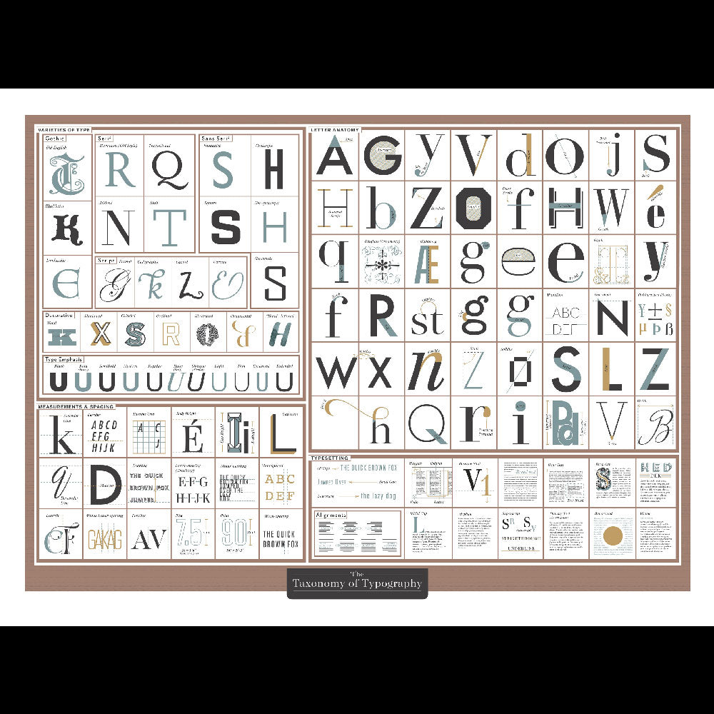 The TAXONOMY of TYPOGRAPHY | Infographic POSTER | 61x46 cm | Pop Chart Lab